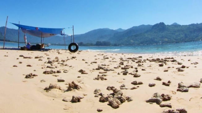 Pantai Carolina, Eksotisme Pasir Putih yang Bersanding dengan Air Laut Biru