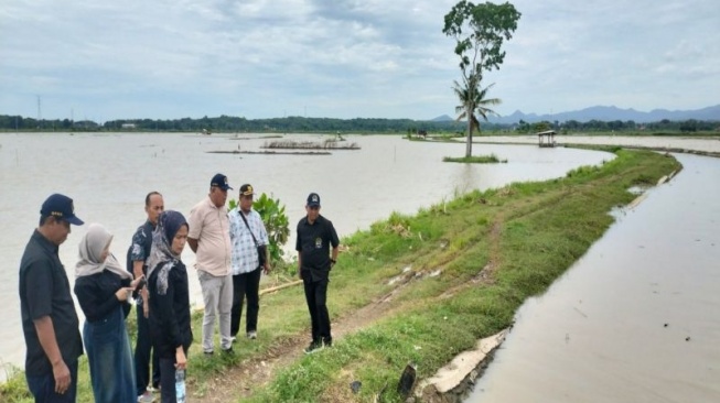 Sawah Seluas 360 Hektare di Tiga Kelurahan Terendam Banjir, Komisi III DPRD Kulon Progo Usul Normalisasi di Titik Ini