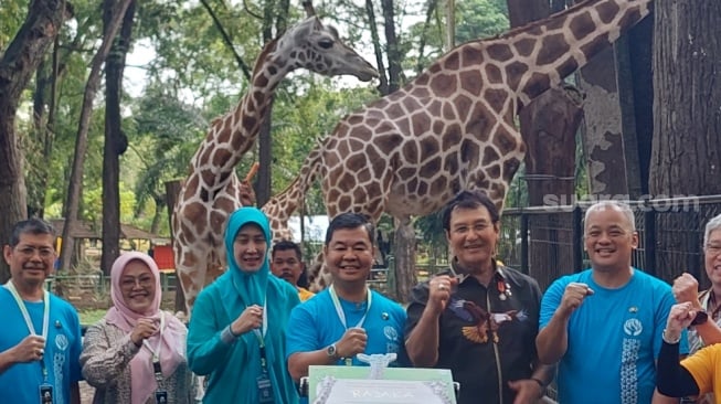 Rajaka, Nama Bayi Jerapah Pembuka 5 Abad Kota Jakarta