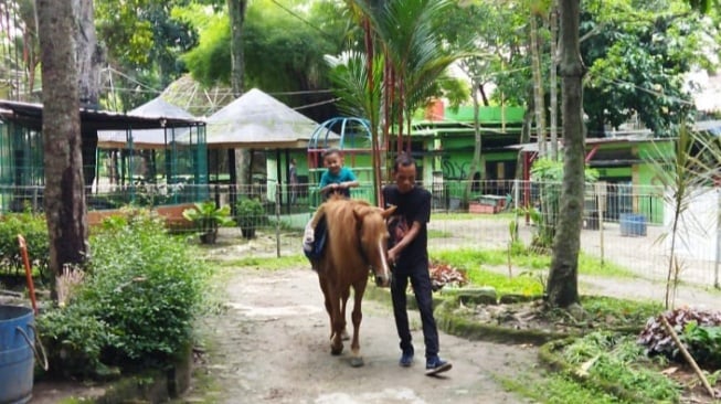 Seru, Naik Kuda Mini di Taman Rimba Zoo Kota Jambi