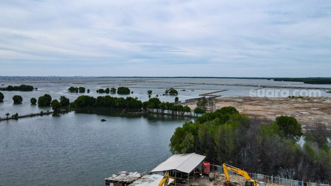 Foto udara daratan dan pagar laut yang berada di kawasan perairan Tarumajaya, Bekasi, Jawa Barat, Kamis (16/1/2025). [Suara.com/Alfian Winanto]