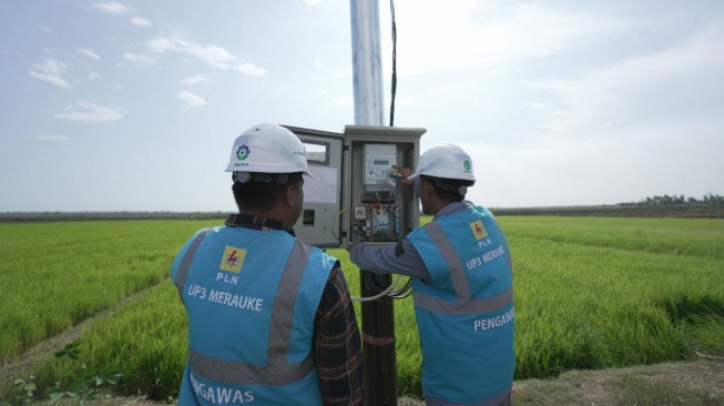 Dukung Tranformasi Pertanian Modern, Electrifying Agriculture PLN Raih 53.539 Pelanggan Baru di Tahun 2024