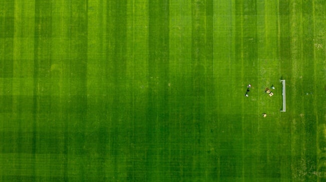 Foto udara sejumlah pekerja melakukan perawatan rumput stadion Bumi Sriwijaya Palembang, Sumatera Selatan, Kamis (16/1/2025). [ANTARA FOTO/Nova Wahyudi/Spt]