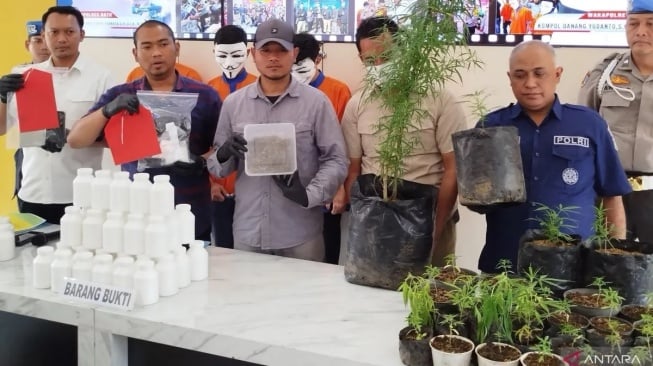 Ilmu Pertanian Dipakai untuk Berkebun Ganja, Warga Malang Terancam Bui