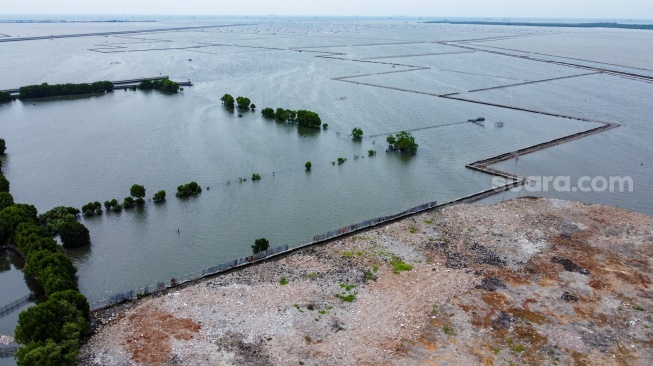 Foto udara daratan dan pagar laut yang berada di kawasan perairan Tarumajaya, Bekasi, Jawa Barat, Kamis (16/1/2025). [Suara.com/Alfian Winanto]