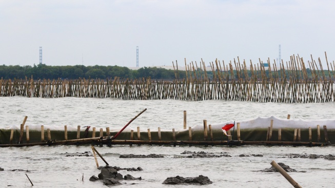 Tak Cuma di Tangerang dan Bekasi, Ratusan Pagar Laut Bertebaran di Batam hingga Surabaya