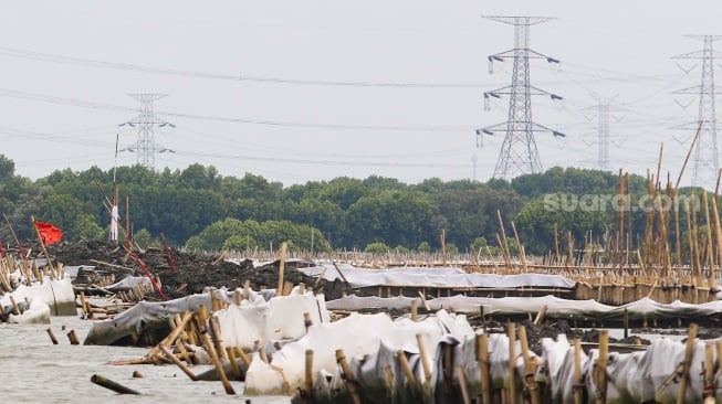 Penampakan pagar laut yang berada di kawasan perairan Tarumajaya, Bekasi, Jawa Barat, Kamis (16/1/2025). [Suara.com/Alfian Winanto]