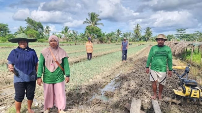 Dari Isano Mbias untuk Indonesia: BRI Dukung Petani Lokal Berdaya, Swasembada Pangan Terjaga