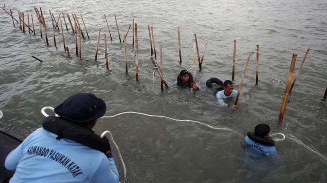 Pasukan Komando Pasukan Katak (Kopaska) TNI-AL membongkar pagar laut di kawasan Pantai Tanjung Pasir, Kabupaten Tangerang, Banten, Rabu (22/1/2025). [ANTARA FOTO/Muhammad Iqbal/agr]