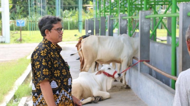 Antisipasi Penularan PMK, Dinas Pertanian dan Pangan Kulon Progo Tutup Pasar Hewan Terpadu Pengasih