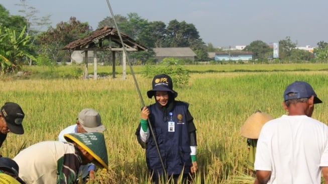 Tingkatkan Kualitas Produksi Padi, DP3 Sleman Dorong Peningkatan Keterampilan Petani