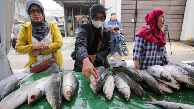 Pembeli memilih ikan dalam acara Festival Bandeng Rawa Belong di Jakarta, Senin (27/1/2025). [Suara.com/Alfian Winanto]