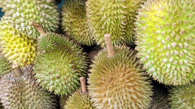 Ribuan Durian Dijarah Warga Usai Kendaraan Alami Kecelakaan, Netizen: Jahat Banget!