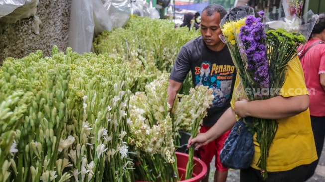 Pengunjung memilih bunga sedap malam di Pasar Bunga Rawa Belong, Jakarta, Selasa (28/1/2025). [Suara.com/Alfian Winanto]