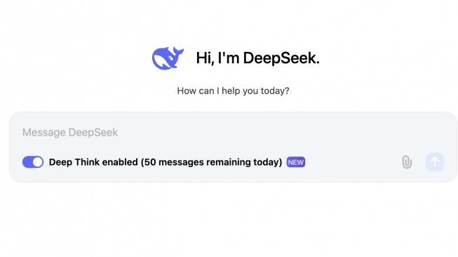 Cara Menggunakan DeepSeek R1 secara Benar