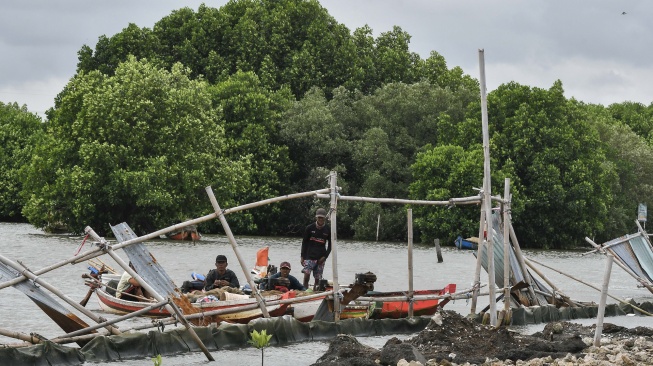 Kapal nelayan melintas di samping pagar laut di Pesisir Tarumajaya, Desa Segarajaya, Kabupaten Bekasi, Jawa Barat, Kamis (30/1/2025). [ANTARA FOTO/Fakhri Hermansyah/nym]