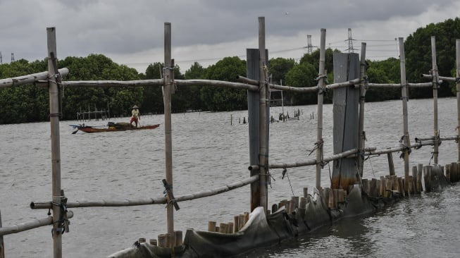 Kapal nelayan melintas di samping pagar laut di Pesisir Tarumajaya, Desa Segarajaya, Kabupaten Bekasi, Jawa Barat, Kamis (30/1/2025). [ANTARA FOTO/Fakhri Hermansyah/nym]