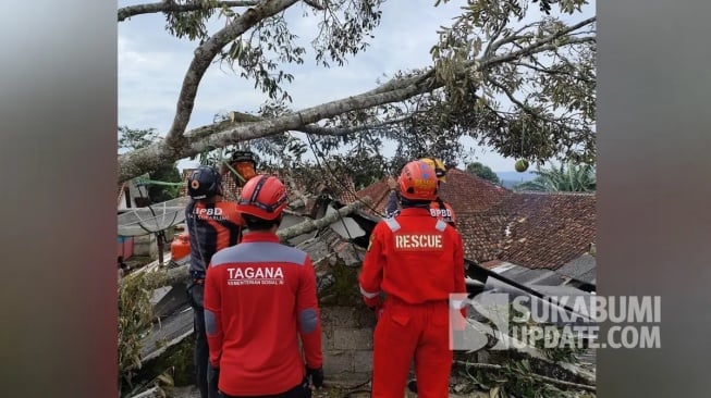 Penanganan pohon tumbang oleh P2BK BPBD, Tagana dan Rescue Damkar Cibadak saat menangani pohon tumbang di Nagrak Sukabumi. (Sumber Foto: Istimewa)