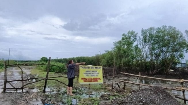 Hutan Mangrove di Maros Diklaim Milik Pribadi, Ditebang Jadi Empang