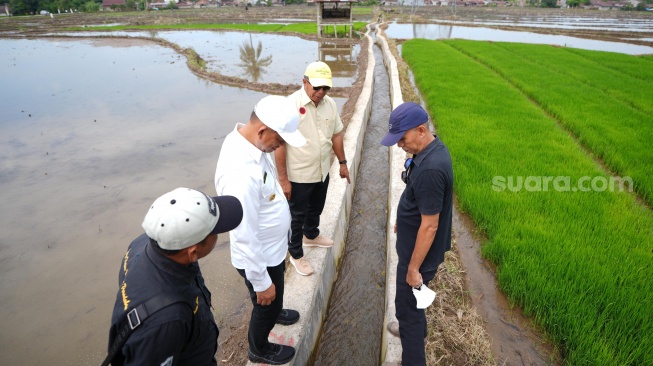 Panen Makin Sering, Pasar Makin Ramai di Bulukumba