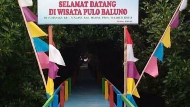 Wisata Pulo Baluno, Destinasi Wisata Mangrove yang Memesona di Majene