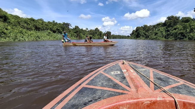 Bocah 6 Tahun Diterkam Buaya di Sungai Simpang Aur Kubu Raya, Pencarian Masih Terus Dilakukan