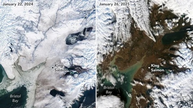Dari Putih ke Cokelat: Salju Alaska Lenyap dalam Hitungan Tahun