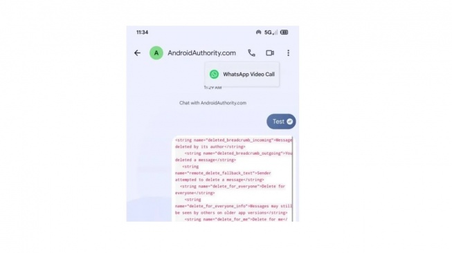 Panggilan video WhatsApp lewat Google Messages. [Android Authority]
