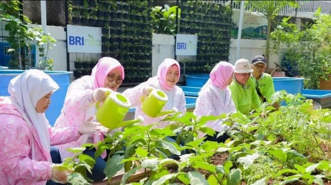 BRInita Berdayakan Ibu-Ibu PKK Sudirejo I Lewat Urban Farming, BRI Peduli Beri Dukungan