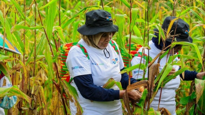 BRI Peduli Berdayakan Petani Kalimantan Timur: Atasi Lahan Kritis, Tanam Durian & Serap Karbon