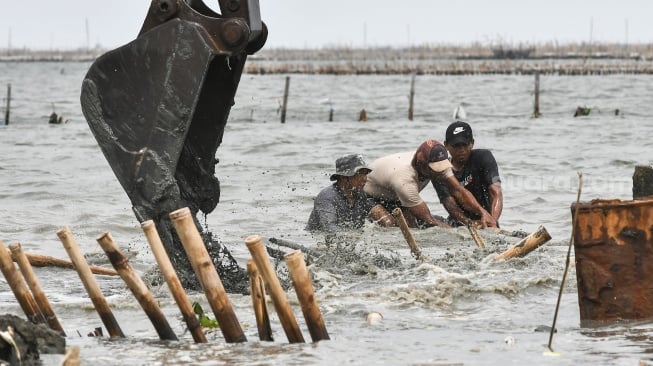 Sejumlah pekerja dari PT TRPN membongkar bambu menggunakan alat berat escavator di pesisir laut Tarumajaya, Kabupaten Bekasi, Jawa Barat, Selasa (11/2/2025). [ANTARA FOTO/Fakhri Hermansyah/rwa]