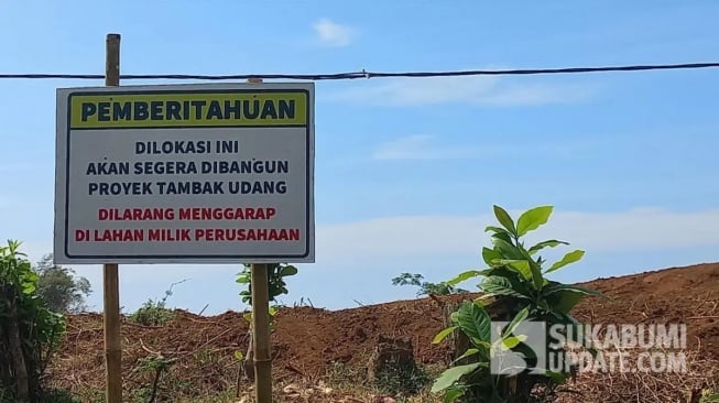 Lahan Tambak Udang Pantai Minajaya Desa Buniwangi Kecamatan Surade | Foto : Ragil Gilang