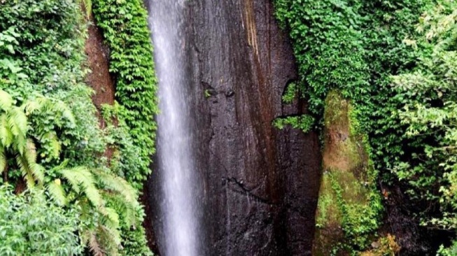 Wisata Alam Curug Nangka, Persona Air Terjun di Tengah Keasrian Kota Bogor