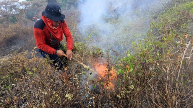 Petugas Badan Penanggulangan Bencana Daerah (BPBD) Aceh Barat berusaha memadamkan api dengan metode penyekatan saat kebakaran hutan dan lahan (karhutla) di kawasan lahan gambut Desa Leuhan, Johan Pahlawan, Aceh Barat, Aceh, Sabtu (15/2/2025). [ANTARA FOTO/Syifa Yulinnas/nym]