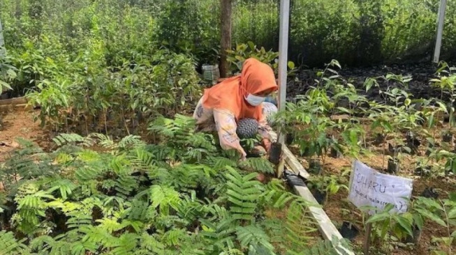 Kawasan Hidrologi Gambut Sembilang Dangku Jadi Model Pengelolaan Hutan