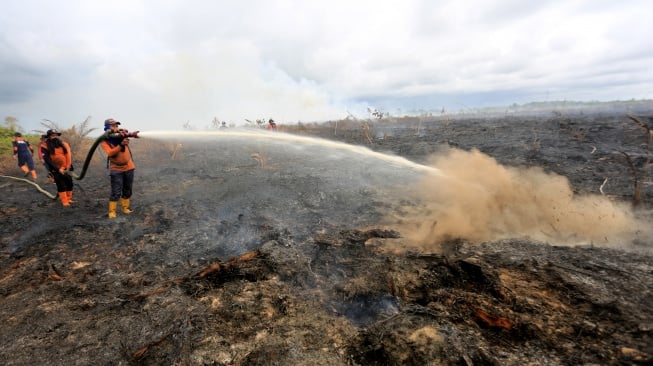 Petugas Badan Penanggulangan Bencana Daerah (BPBD) Aceh Barat berusaha memadamkan api dengan metode penyekatan saat kebakaran hutan dan lahan (karhutla) di kawasan lahan gambut Desa Leuhan, Johan Pahlawan, Aceh Barat, Aceh, Sabtu (15/2/2025). [ANTARA FOTO/Syifa Yulinnas/nym]