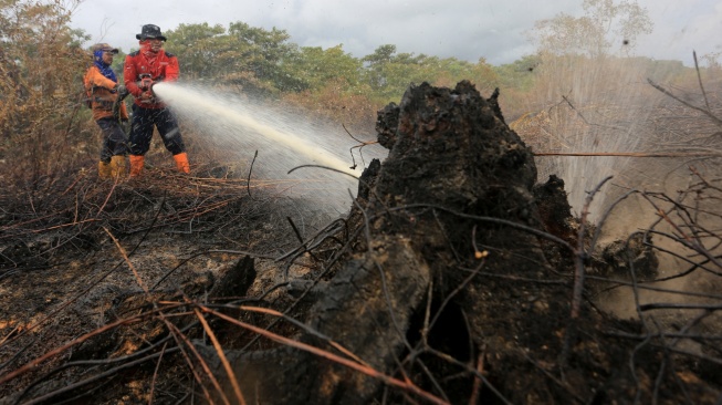 Petugas Badan Penanggulangan Bencana Daerah (BPBD) Aceh Barat berusaha memadamkan api dengan metode penyekatan saat kebakaran hutan dan lahan (karhutla) di kawasan lahan gambut Desa Leuhan, Johan Pahlawan, Aceh Barat, Aceh, Sabtu (15/2/2025). [ANTARA FOTO/Syifa Yulinnas/nym]