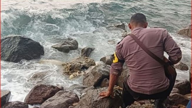 Tengkorak Misterius Terdampar di Pantai Sikka, Diduga Korban Kapal 3 Putri