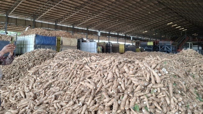 Ubah Singkong Bernilai Tinggi: Petani Lampung Didorong Produksi Tepung Mocaf