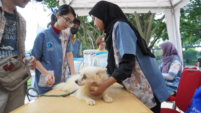 LPCK Resmikan Taman Bermain untuk Hewan Peliharaan