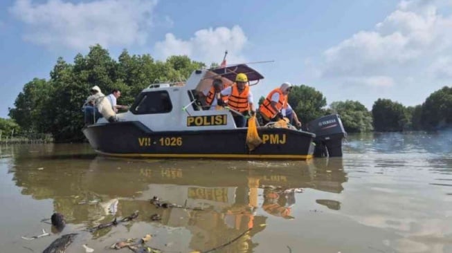  Menteri Lingkungan Hidup Hanif Faisol Nurofiq memungut sampah di kawasan hutan bakau Desa Pantai Mekar, Kecamatan Muaragembong, Kabupaten Bekasi, Jawa Barat, Kamis (27/2/2025). (ANTARA/Pradita Kurniawan Syah)