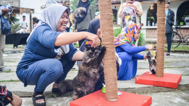 Cleofest dan Roccomunity: Ruang Interaksi Seru bagi Pecinta Kucing dan Anjing (Dok. Istimewa)