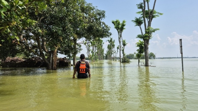 Daftar Desa Terdampak Banjir di Tuban, BPBD Siaga Penuh