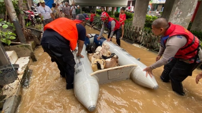 Gulkarmat Jaksel Evakuasi 15 Ekor Kambing di Lokasi Banjir Rawajati