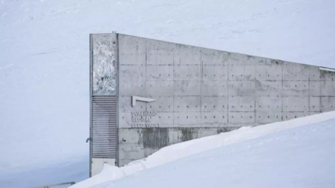 Terungkap! Begini Penampakan dalam Gudang Benih "Kiamat" di Svalbard