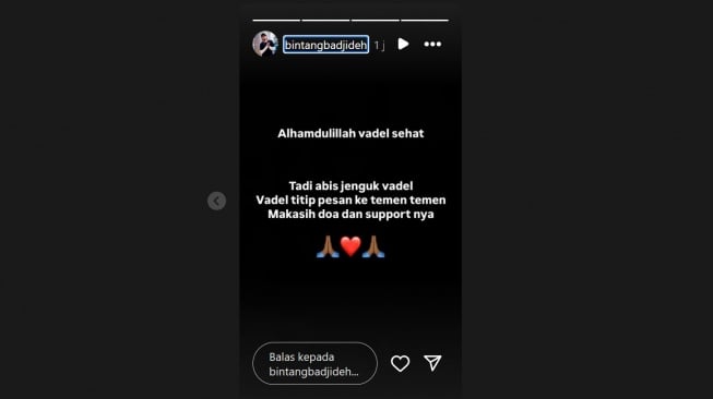 Unggahan kakak Vadel Badjideh (Instagram/@bintangbadjideh)