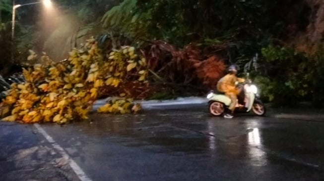 Panorama 1 Sitinjau Lauik Diterjang Longsor, Jalan Padang-Solok Terputus!