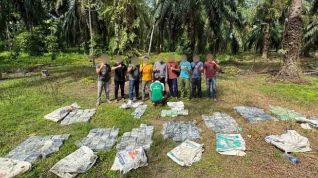 Penampakan 188 Kilogram Sabu Ditemukan di Tengah Kebun Sawit Aceh