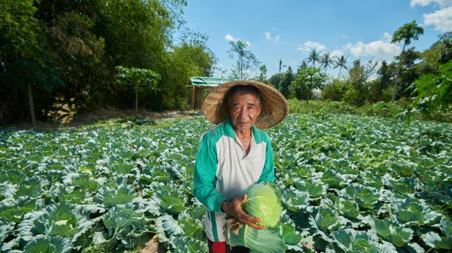 Program Pertanian Organik Perusahaan Ini Tingkatkan Hasil Panen Petani Lokal