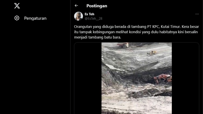 Tangkapan layar, cuitan warganet soal orang utan di Kutim. [X/@EsTeh__28]